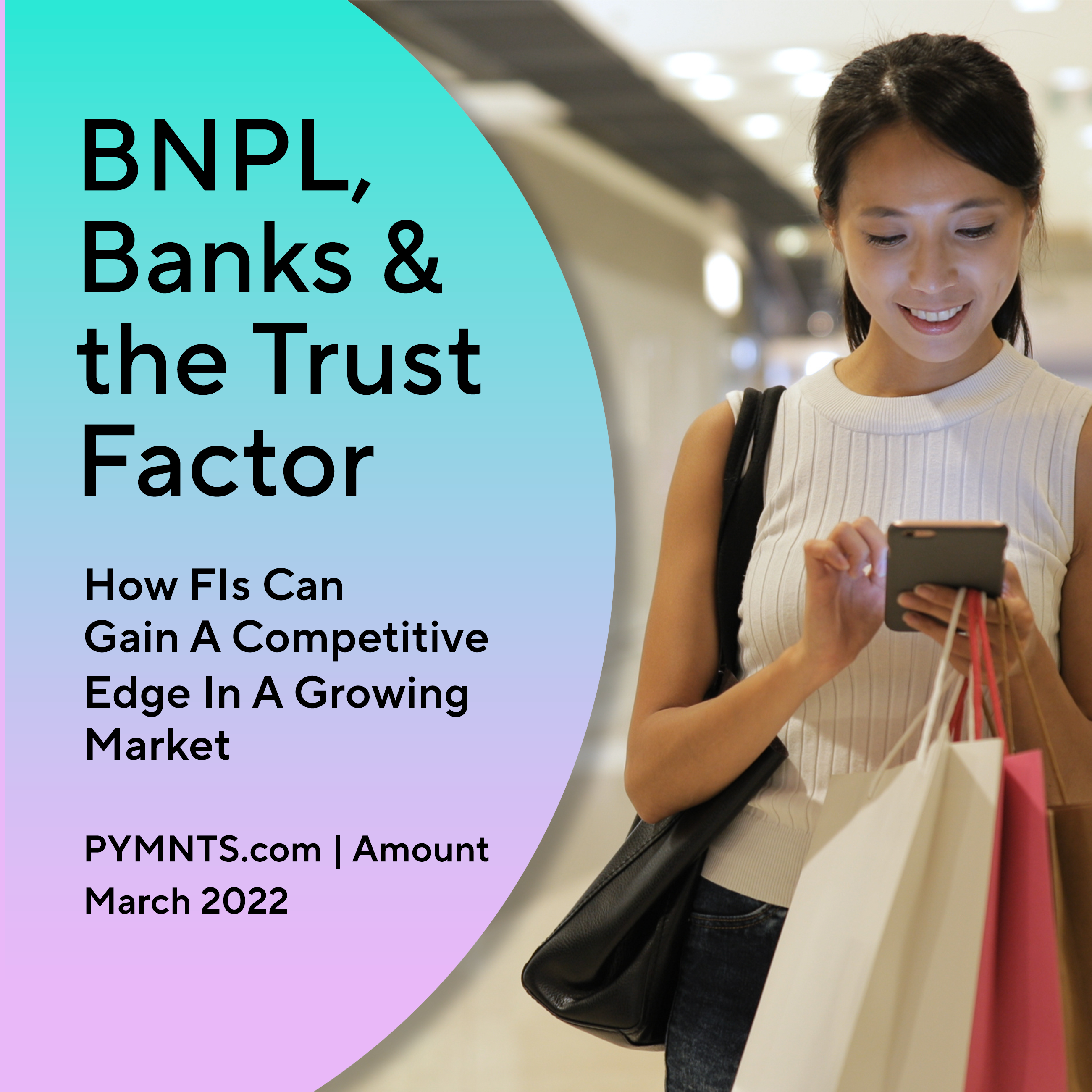 BNPL Report Landing Page-REV4-2