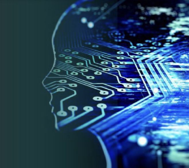 Case Study: Embracing AI Driven Decision-Making for Enhanced Profitability with Amount
